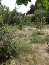 Torpaq sahəsi, 3 sot, Çıxarışlı, Yeni Ramana, Bakı