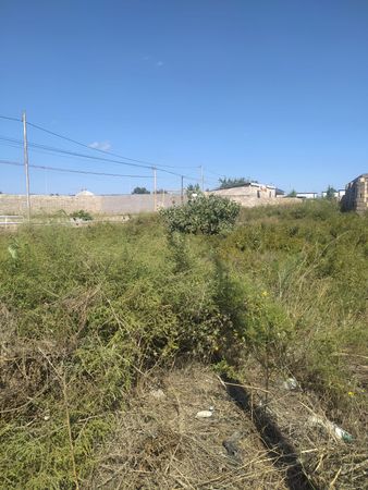 Torpaq sahəsi, 7 sot, Bağ təyinatlı, Müqaviləli, Sea breezze hosbitalin yaxinligi, Bakı – Bakı – ucuztap.az