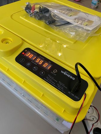 Inkubator 138 yumurtaliq – Bakı – ucuztap.az