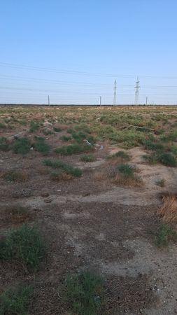 Torpaq sahəsi, 2 sot, Kənd təsərrüfatı təyinatlı, Müqaviləli, Yeni surxanı, Bakı – Bakı – ucuztap.az