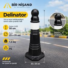 Təhlükəsizliyin möhkəm təməli — Delinator