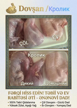 Dovşan əti – Bakı – ucuztap.az