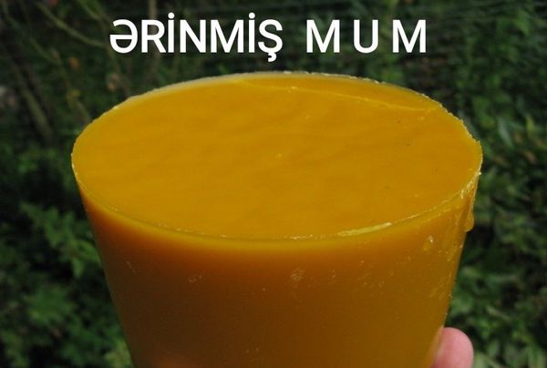 Dağ balı və arı məhsulları – Şabran – ucuztap.az