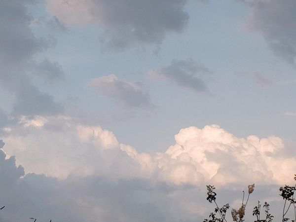 Heçnə – Abşeron – ucuztap.az