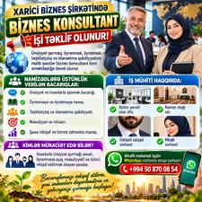 Biznes konsultant