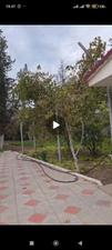Torpaq sahəsi, 9 sot, Tikinti təyinatlı, Çıxarışlı, Bakı