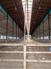 Anbar icarəyə verilir, 2500 m², Mehemmedli qəs., Bakı