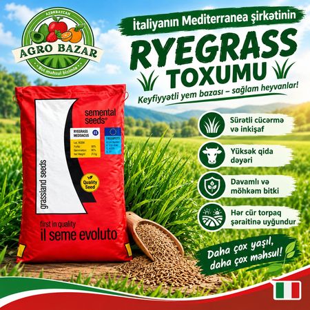 Ryegrass toxumu – Bakı – ucuztap.az
