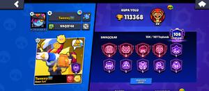 Brawl Stars hesabı 113k
