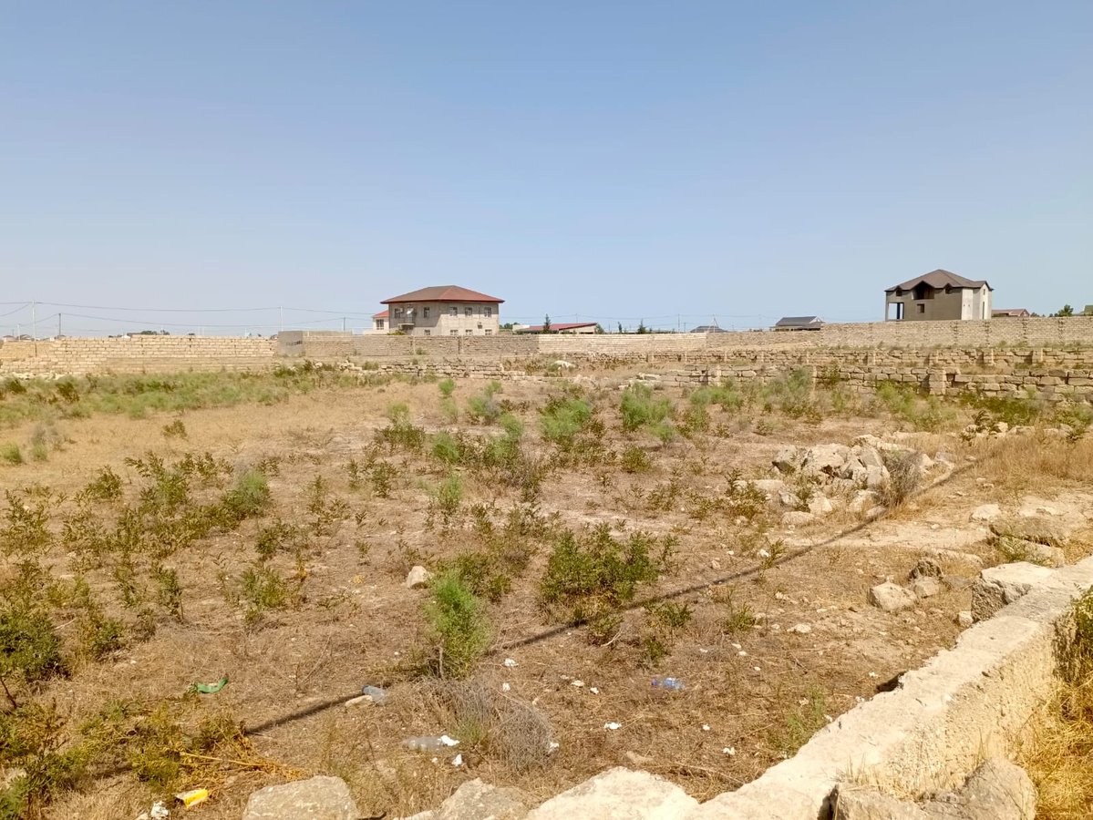 Torpaq satılır, Türkan, Bakı