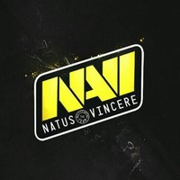 Navi Electronics mağazası logosu