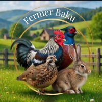 Fermer Baku mağazası logosu
