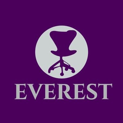 Everest mağazası logosu