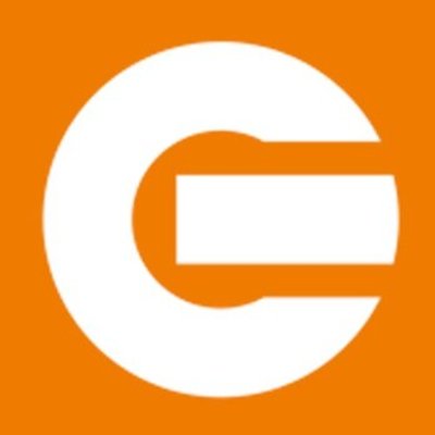 Electro Gallery mağazası logosu