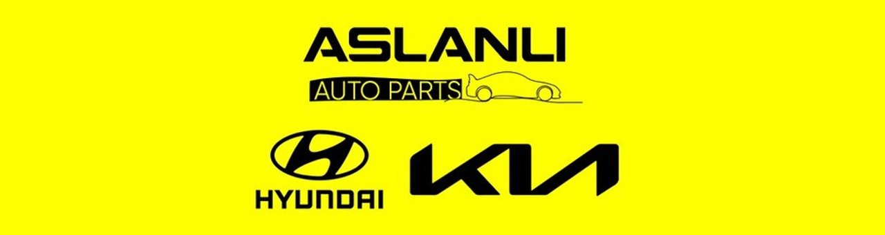 Aslanlı Auto Parts mağazası banneri