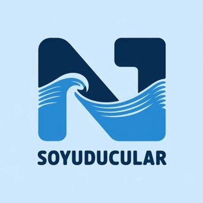 N1 Soyuducular mağazası logosu